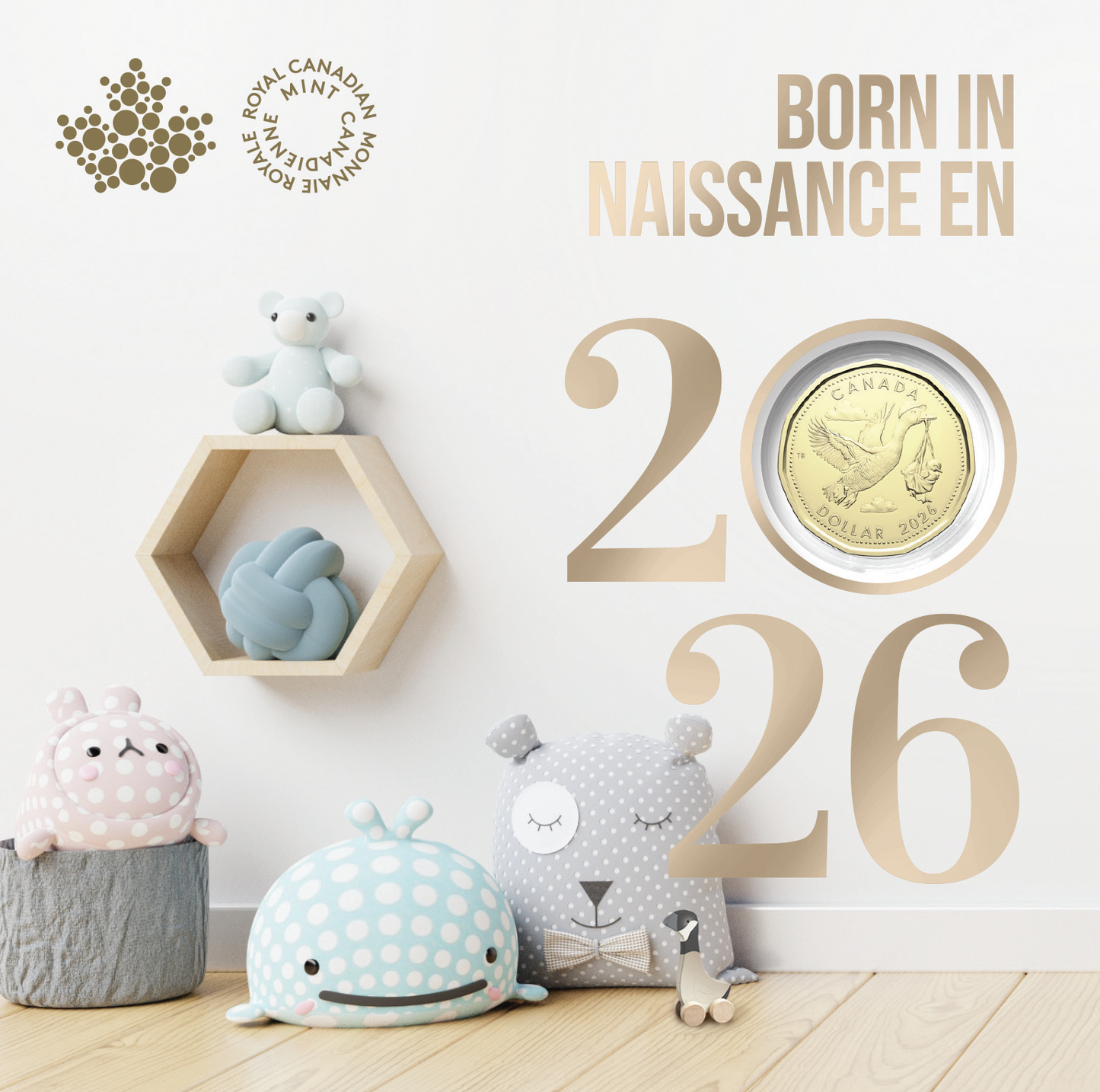 2026 Born in - Gift Set - Special loonie0