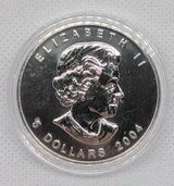 2004 CANADA $5 Winter Colored Silver Maple Leaf 1oz 99.99% Silver - NumisFind