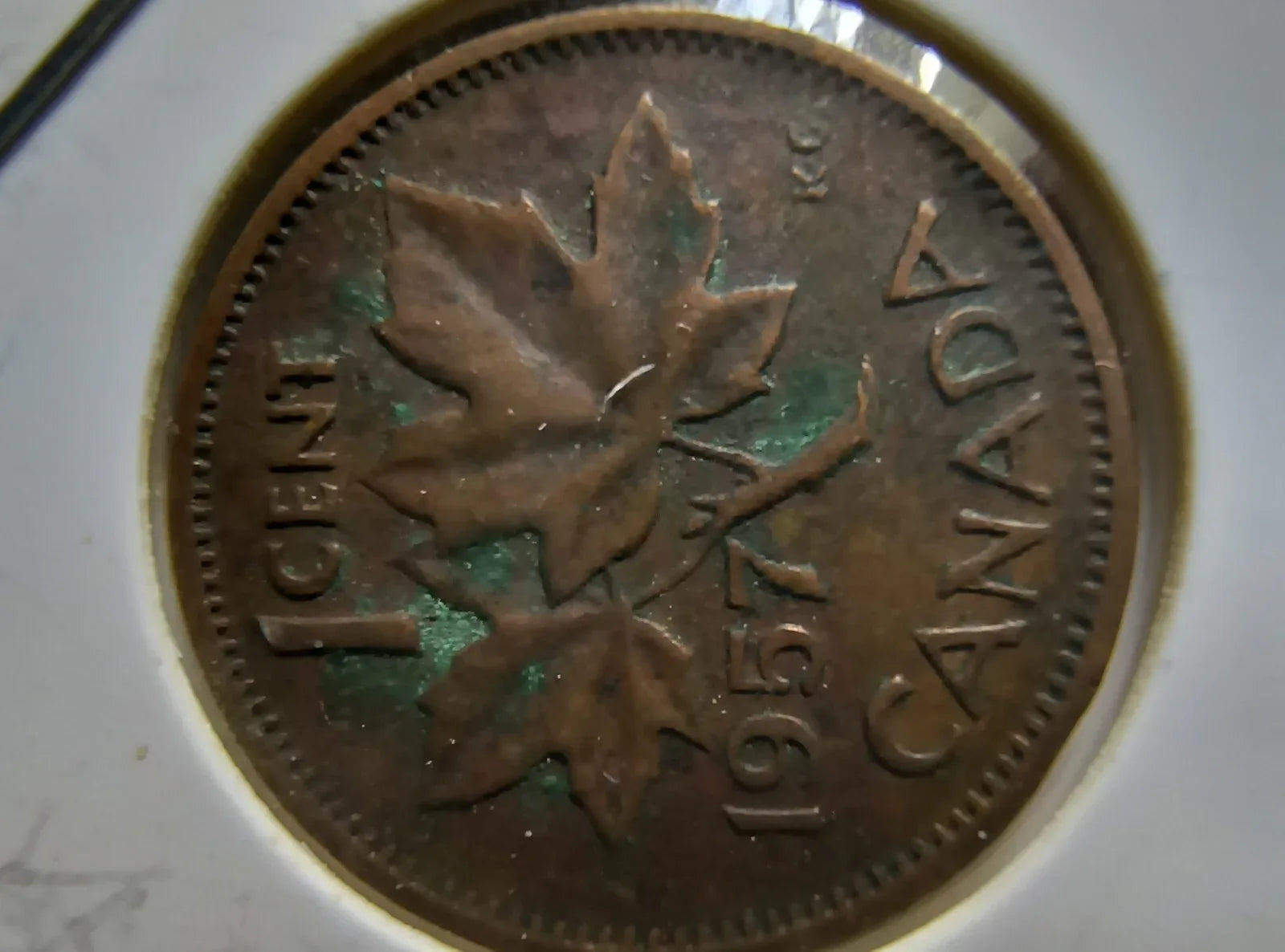 Lot Of 10 Circulated Canada 1 Cent Pre 1960 (GVG Grade) *Read Description* - NumisFind