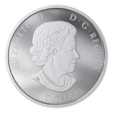 Canada 2019 2 oz 9999 Silver coin - Majestic Birds in motion - Golden Eagle - NumisFind