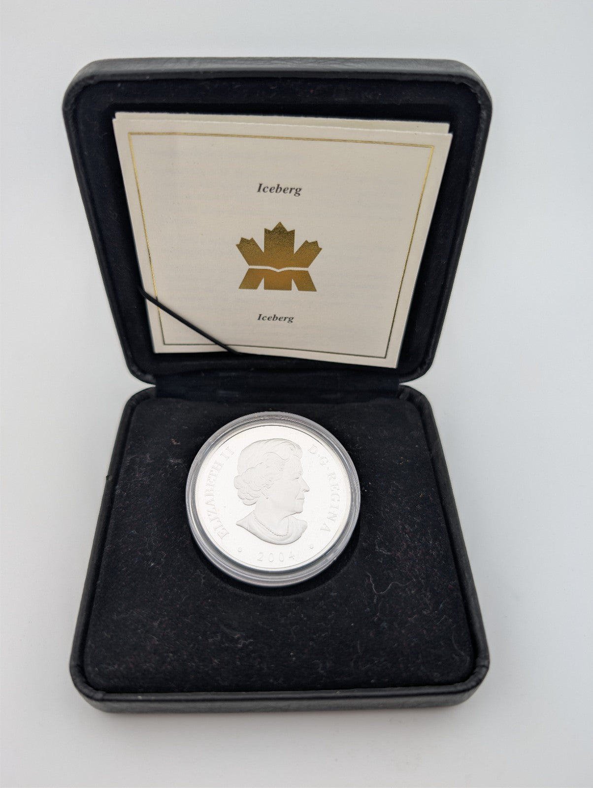 2004 $20 Holographic ICEBERG 1oz 99.99 Silver Coin Only 25,000 Minted Canada2