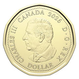 2026 Canada FIFA World Cup Coloured Loonie Dollar Mint UNC $1 Colored Coin1