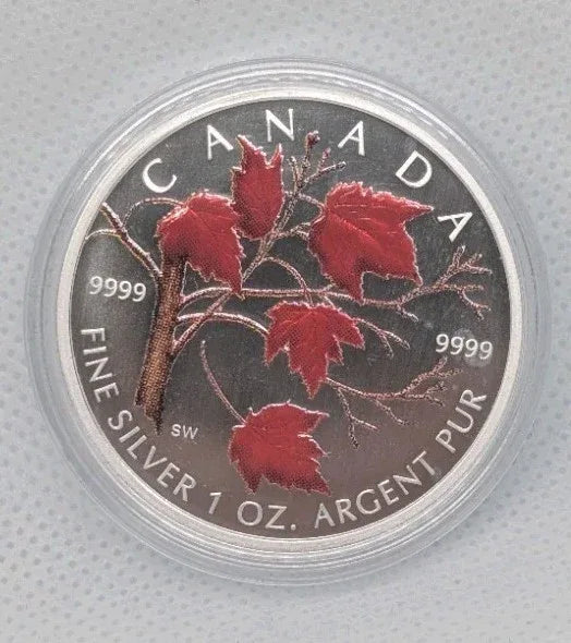 2004 CANADA $5 Winter Colored Silver Maple Leaf 1oz 99.99% Silver - NumisFind