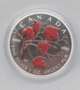 2004 CANADA $5 Winter Colored Silver Maple Leaf 1oz 99.99% Silver - NumisFind
