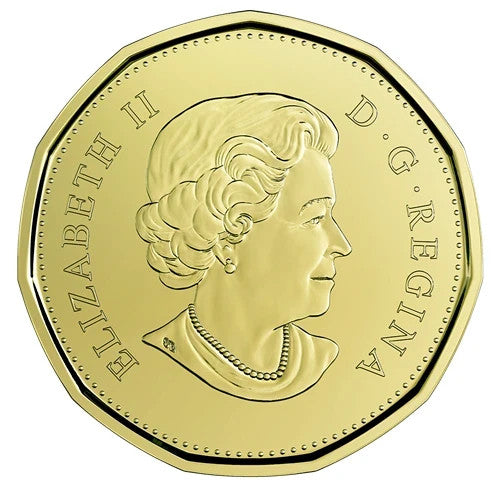 2019 Canada  1$ One Dollar - ''Happy Birthday '' - PL - Loonie1