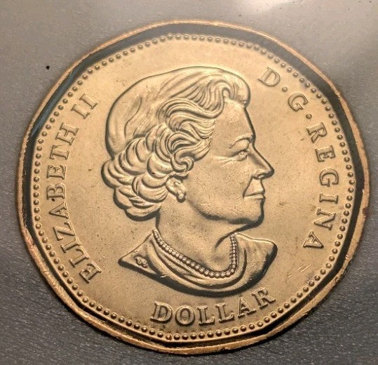 **MS-63** 2021 Coloured Klondike Loonie Graded KSA - PERFECT CONDITION3