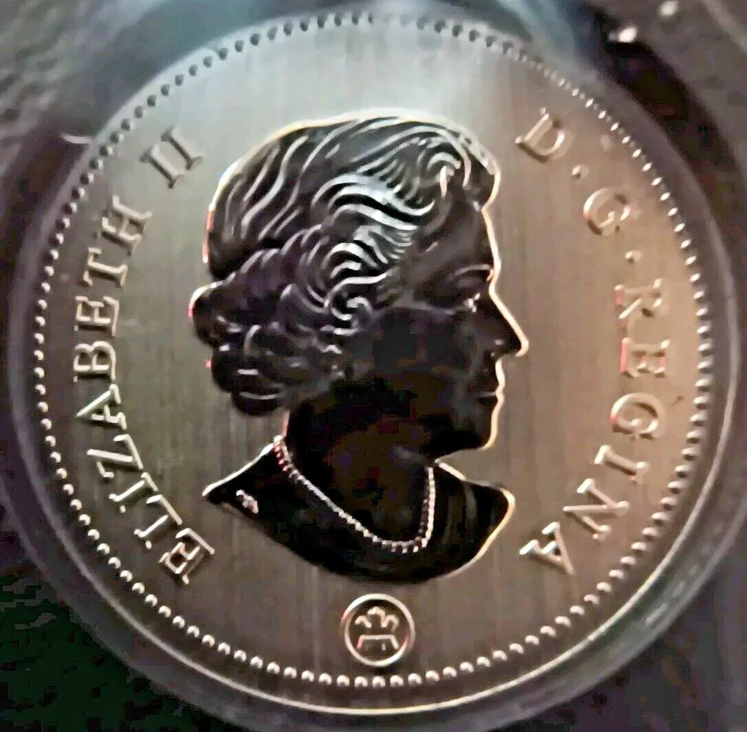 2021 CANADA ENDANGERED SPECIES BLANDING'S TURTLE COIN SPECIMEN SET - NumisFind