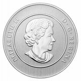 Canada 2014 $20 Summer Time Fine Silver Coin 1