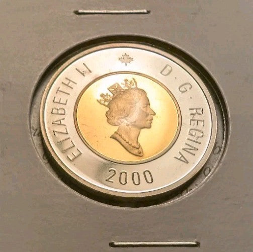 Canada - Polar Bear 2000 Proof Two Dollar Coin, Silver With Gold Plating1