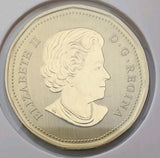 2019 Canada $1 Loonie Specimen Frosted Finish from set - Pileated Woodpecker1