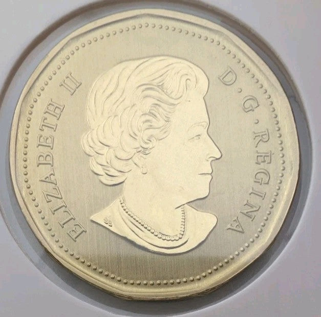 2019 Canada $1 Loonie Specimen Frosted Finish from set - Pileated Woodpecker1