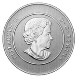 2013 $20 for $20 Iceberg and Whale - Pure Silver Coin1