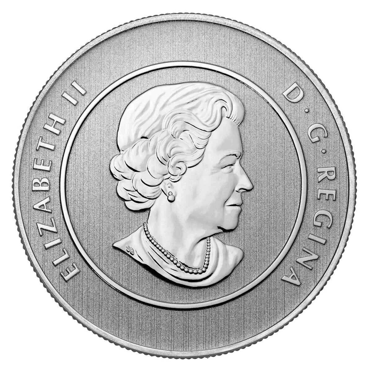 2013 $20 for $20 Iceberg and Whale - Pure Silver Coin1