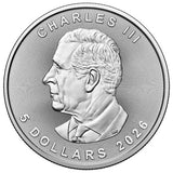 Royal Canadian Mint 1oz Pure Silver .9999 Maple Leaf 2026 5$ Coin Bullion1