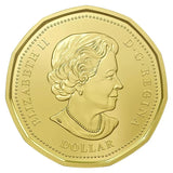 2016 Canada Women's Right to Vote 100th Anniversary $1 Commemorative Coin1