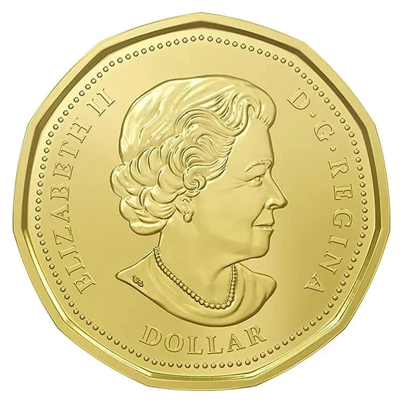2016 Canada Women's Right to Vote 100th Anniversary $1 Commemorative Coin1