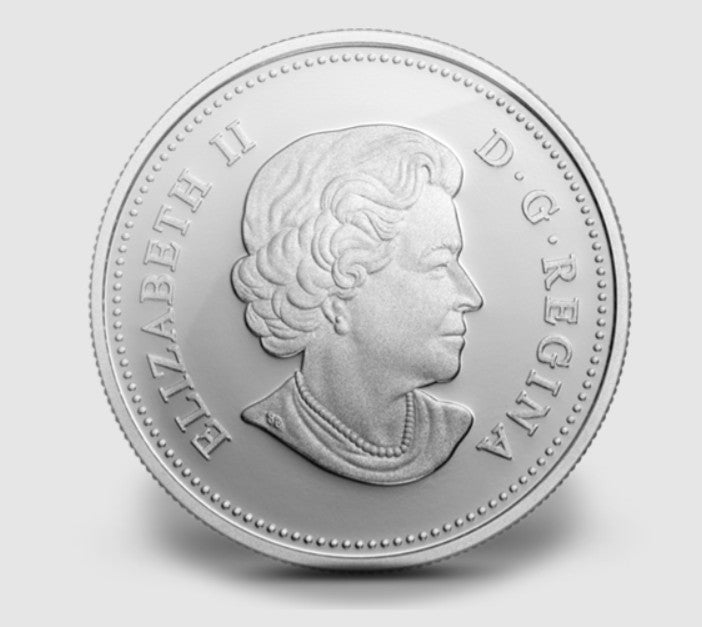 2013 Canada $20 FINE SILVER COIN - Iris Versicolor - Blue Flag Iris1