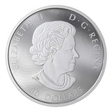 Canada 2019 2 oz 9999 Silver coin - Majestic Birds in motion - Golden Eagle2