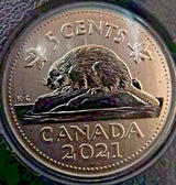 2021 CANADA ENDANGERED SPECIES BLANDING'S TURTLE COIN SPECIMEN SET - NumisFind
