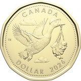 2026 Born in - Gift Set - Special loonie1