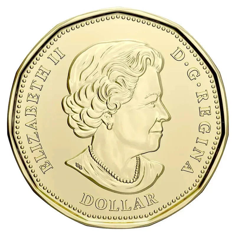 Canada 18962021 Klondike Gold Rush 125th Anniversary $1 Loonie Colour Coin UNC - NumisFind