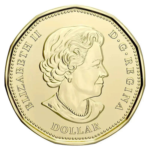 Canada 18962021 Klondike Gold Rush 125th Anniversary $1 Loonie Colour Coin UNC - NumisFind