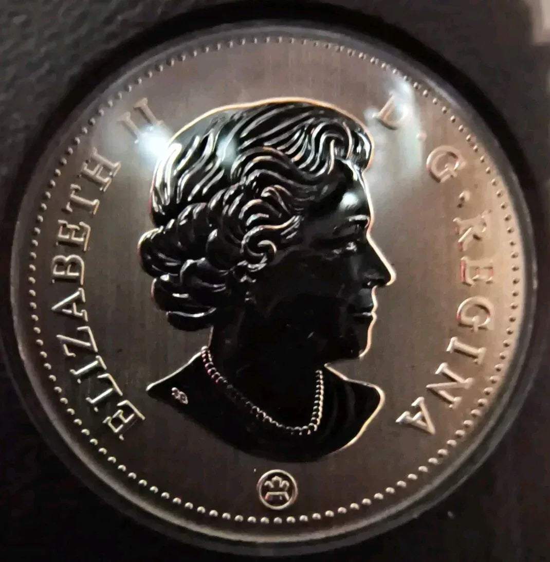 2021 CANADA ENDANGERED SPECIES BLANDING'S TURTLE COIN SPECIMEN SET - NumisFind