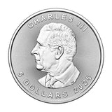 2025 Treasured Silver Maple Leaf 1oz .9999 - Fireworks Privy - NumisFind