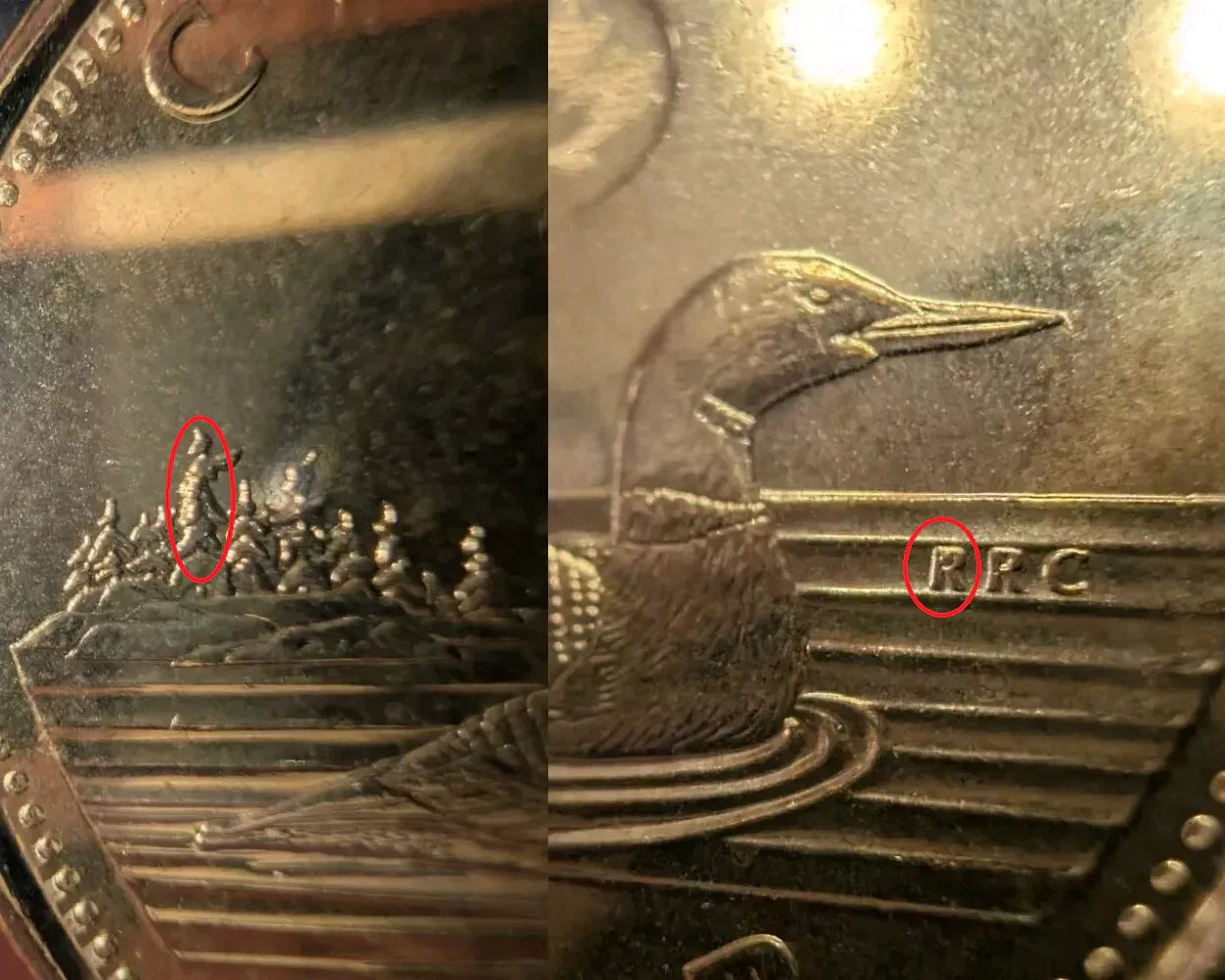 DOUBLE ERROR - Die Chip On The Tree And RRC - #4354 And #4355- 2018 Canada 1$ BU - NumisFind