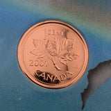 Canada 2001 Collector Coin set - In Perfect condition!9
