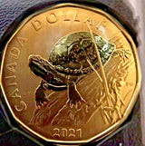 2021 CANADA ENDANGERED SPECIES BLANDING'S TURTLE COIN SPECIMEN SET - NumisFind