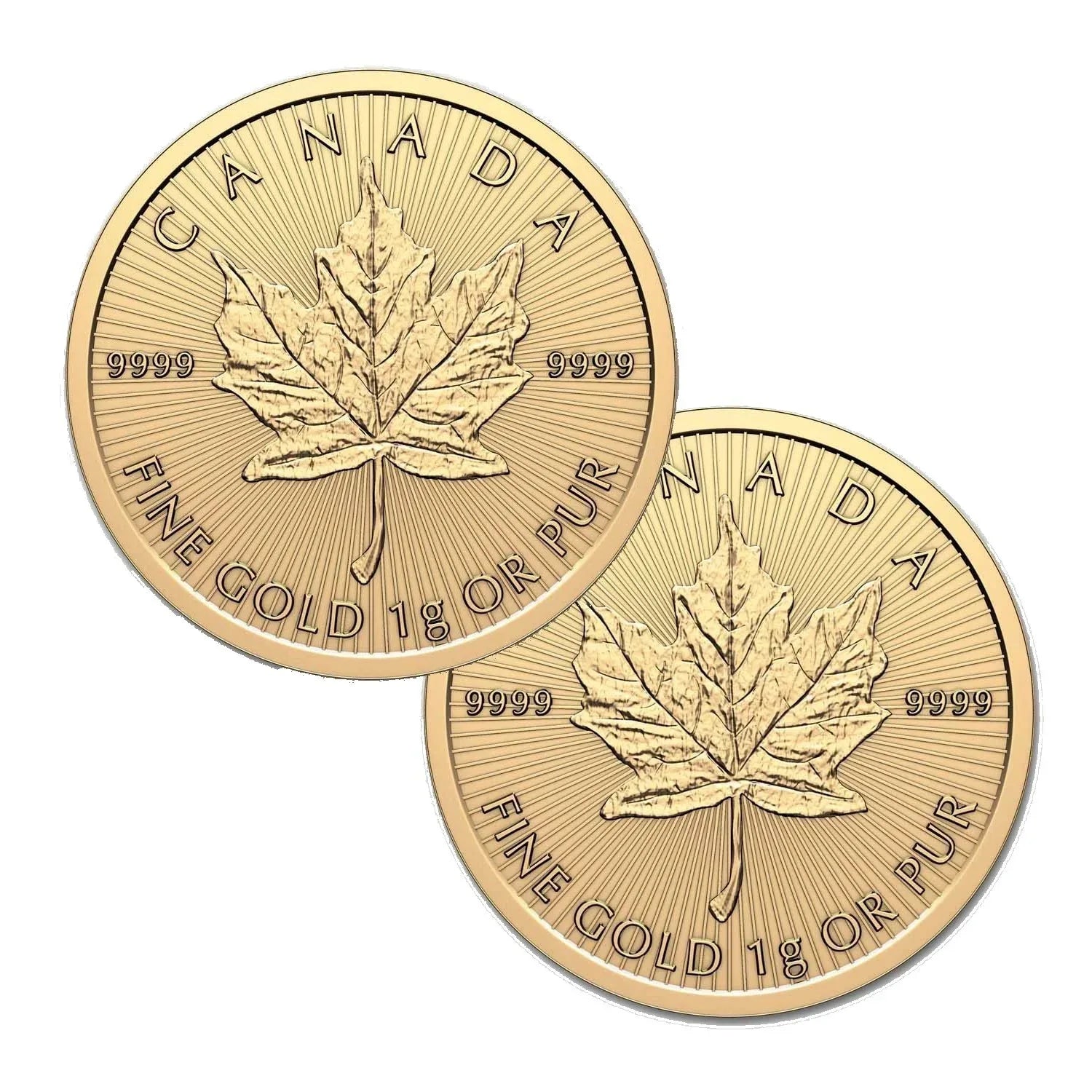 Bundle! 2 Grams - 2025 Gold Maple Leaf Coin - .9999 Pure Gold Bullion Maplegram - NumisFind