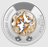 2023 Canada Riopelle keepsake collector set - 7 uncirculated coins5