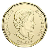2020 Canada $1 Loonie 75th anniversary of UN Charter COLOURED  - from roll1
