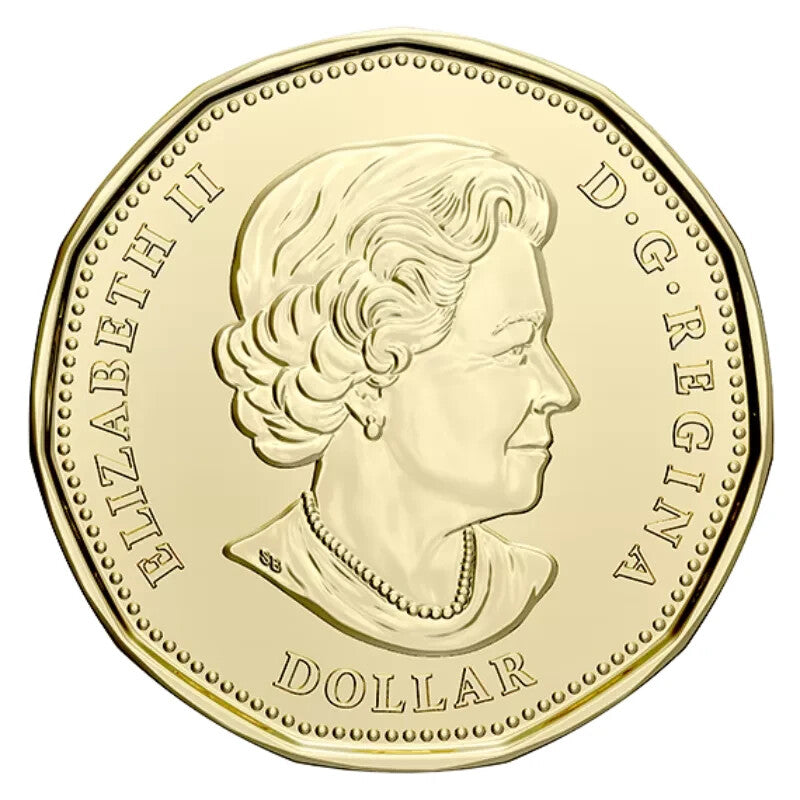 2020 Canada $1 Loonie 75th anniversary of UN Charter COLOURED  - from roll1