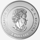 2017 - Canada $3 Dollar Fine Silver Coin .9999 Heart of our Nation - - NumisFind