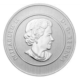 CANADA Specimen 2012 Polar Bear .9999 Silver 20 Dollar Coin Original Packaging2