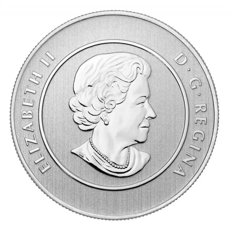 CANADA Specimen 2012 Polar Bear .9999 Silver 20 Dollar Coin Original Packaging2