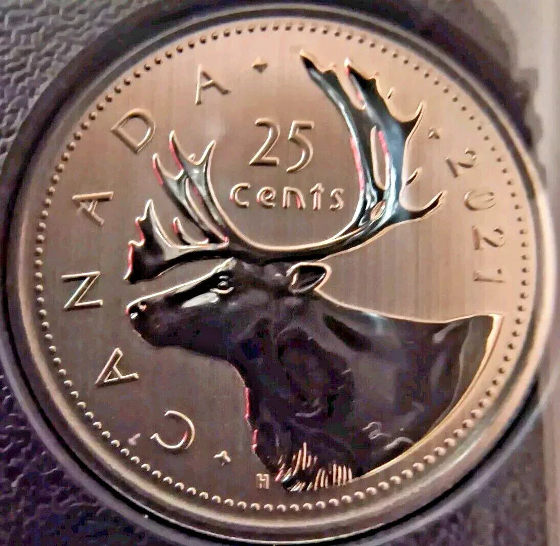 2021 CANADA ENDANGERED SPECIES BLANDING'S TURTLE COIN SPECIMEN SET - NumisFind
