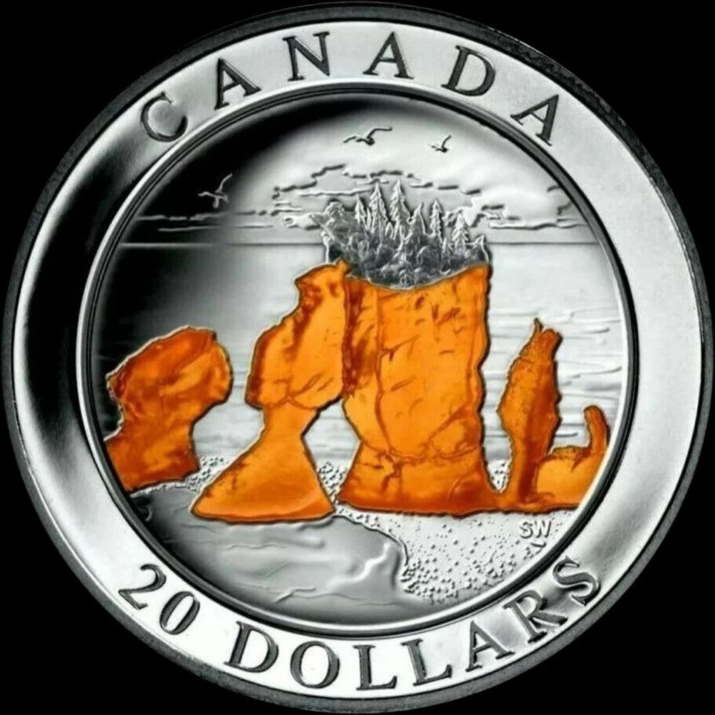 Coin Only! 2004 Canada $20 Natural Wonders Hopewell Rocks Fine Silver Coin .99990