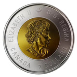 2018 Canada Armistice - WWI end $2 COLOURED AND NON COLOURED Toonie -- from roll - NumisFind