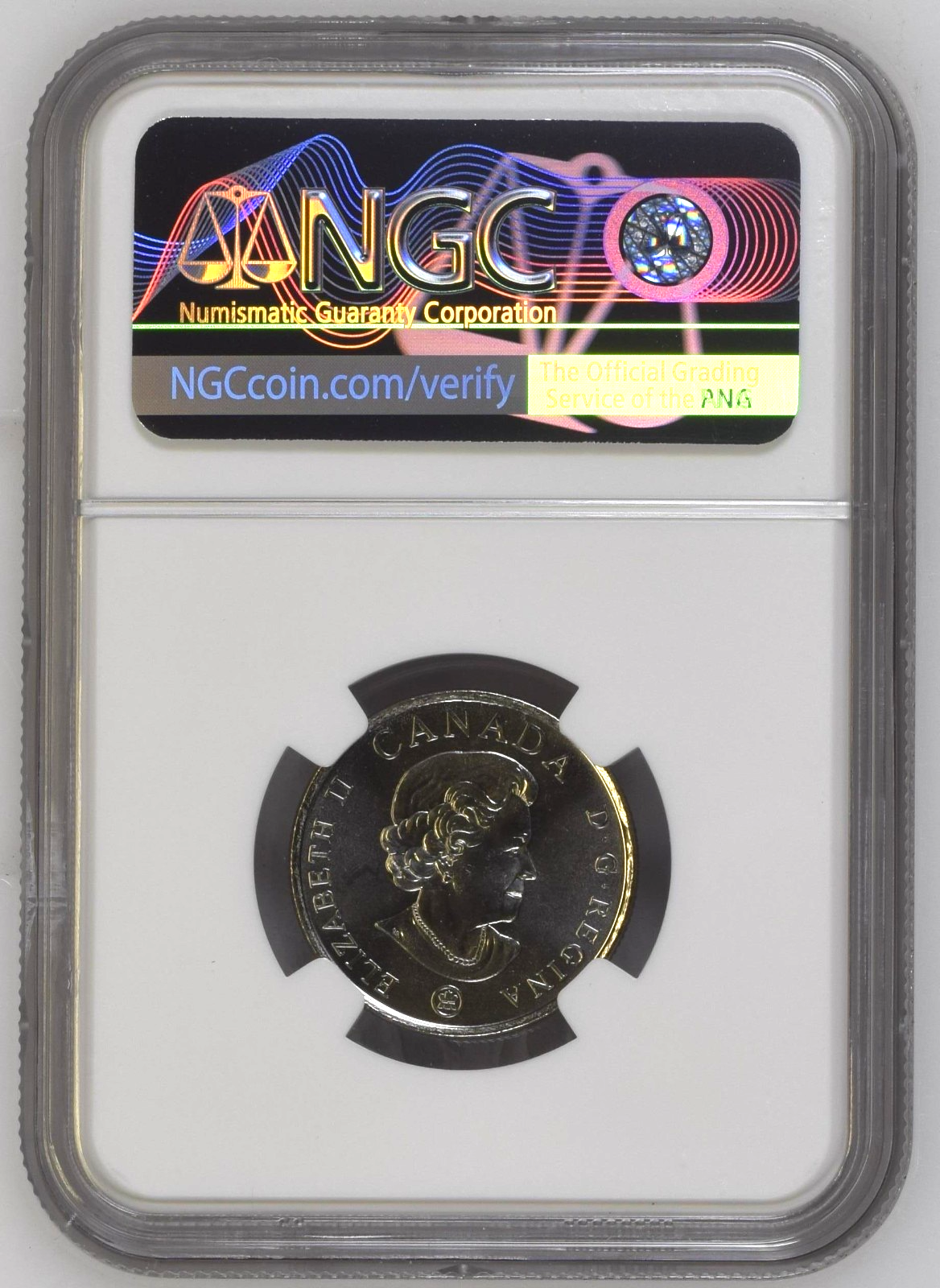 2008 Canada 25c NGC GEM UNC Poppy Quarter Colorized1