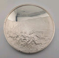 Sterling Silver Medal 31.5g - Snap The whip 1872 Winslow Homer - Proof finish0