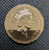 Canada 2000w Prooflike Loonie One $1 Dollar Loon Coin Winnipeg W Mint Mark 20001