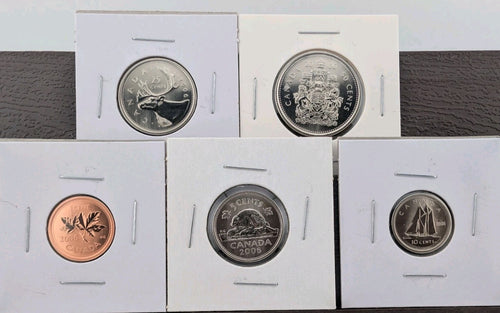 Canada 2006 Specimen Coin Set 1¢–50¢ - Premium Collector Finish (5 Coins)0