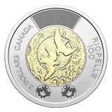 NEW ! 2023 Riopel Toonie $2 No Color Canada Special Wrap RCM Roll - 25 coins - NumisFind