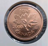 Canada 2000w Prooflike 1 cent One c 1 penny Coin Winnipeg W Mint Mark 20000