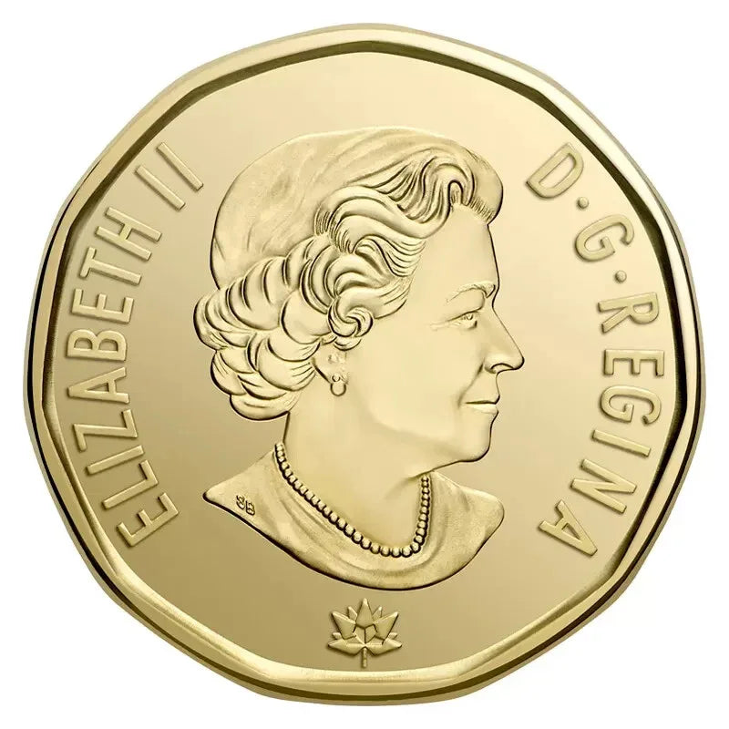 2017 Canada 150th Anniv. Connecting A Nation Loonie Coin. UNC One Dollar $1 Loon - NumisFind