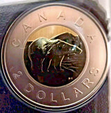 2021 CANADA ENDANGERED SPECIES BLANDING'S TURTLE COIN SPECIMEN SET - NumisFind
