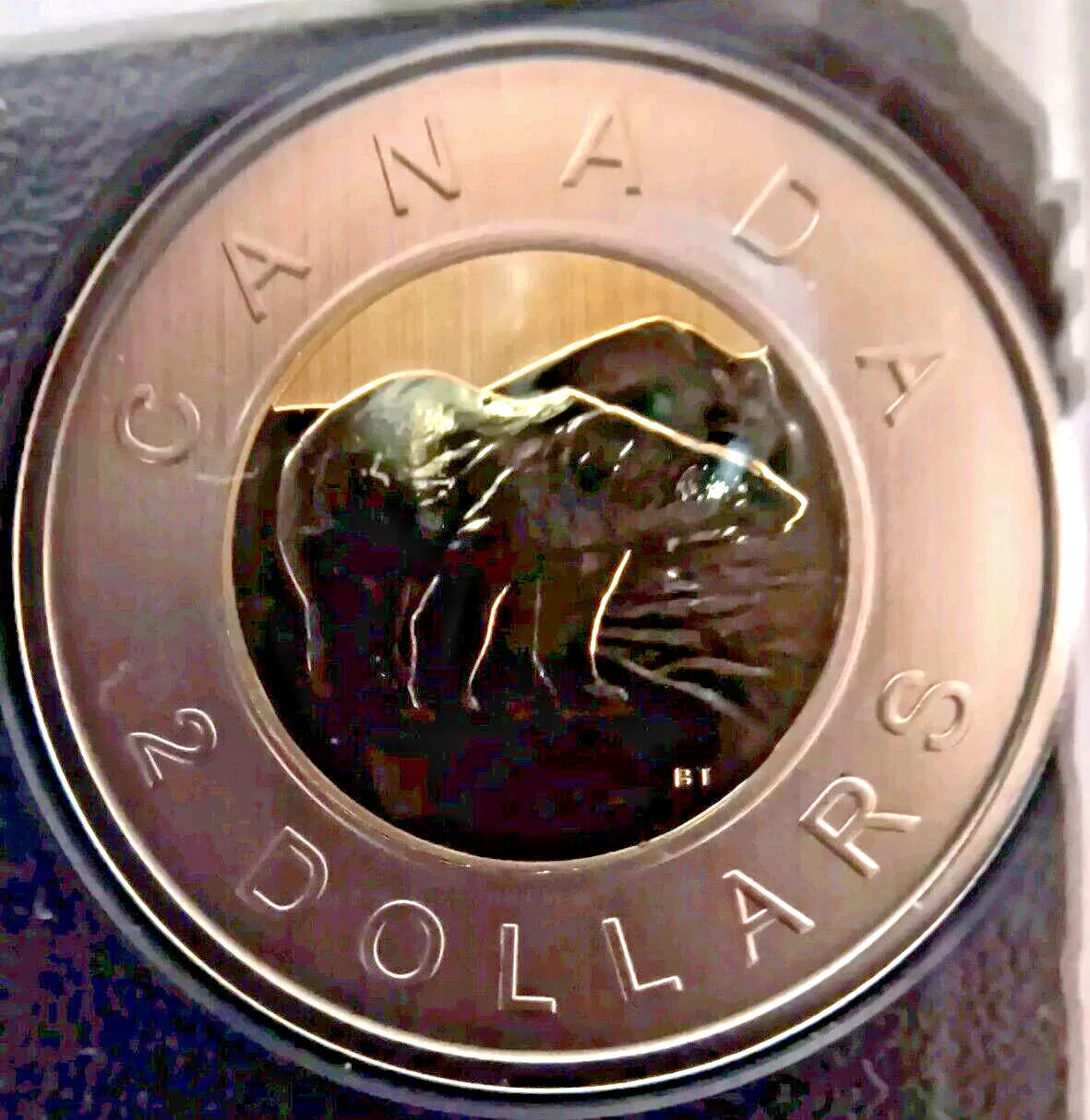 2021 CANADA ENDANGERED SPECIES BLANDING'S TURTLE COIN SPECIMEN SET - NumisFind